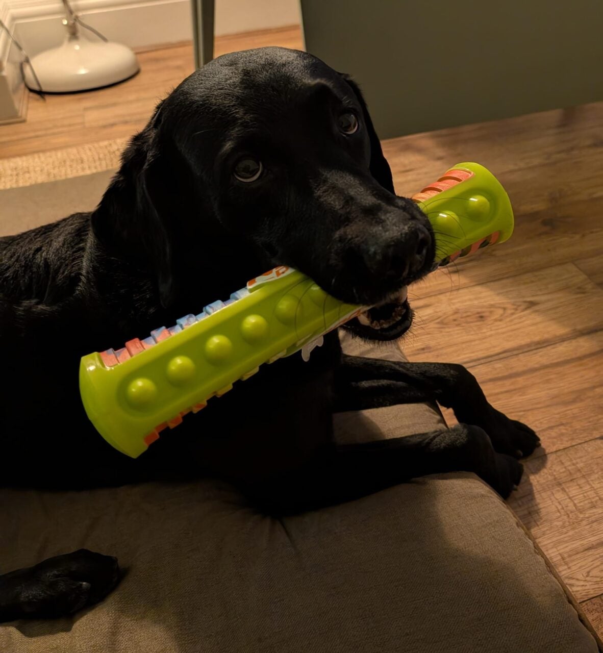 Things I Liked This Week